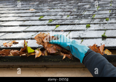 Gouttière de compensation des feuilles d'automne Banque D'Images