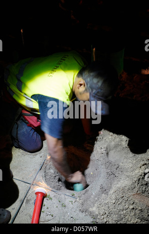 Des œufs de tortues étant couvert par le sable dans une écloserie, sur l'île de Selingan, Parc des îles des Tortues, Sabah, Bornéo Banque D'Images