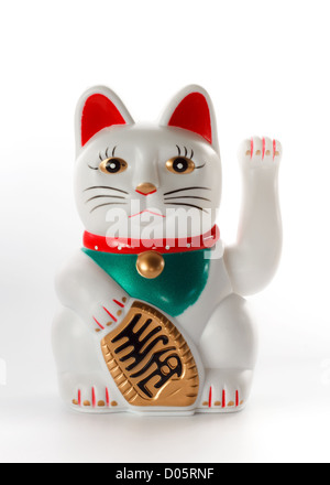 Lucky cat blanc, Maneki-neko, sur fond blanc Banque D'Images