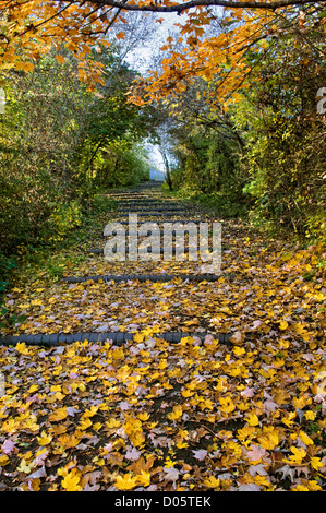 Les feuilles d'automne et la couleur sur les mesures et le chemin à Bristol les journée ensoleillée, UK Banque D'Images