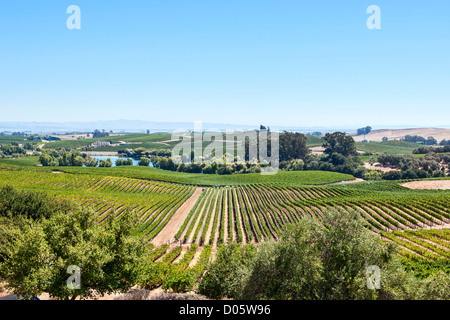 Belle vue de l'Artesa Winery et domaine viticole dans la Napa Valley. Banque D'Images