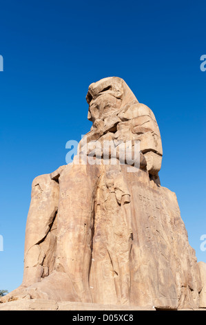 Les colosses de Memnon (appellent les gens comme el-Colossat ou es-Salamat) sont deux énormes statues de pierre du pharaon Aménophis III Banque D'Images