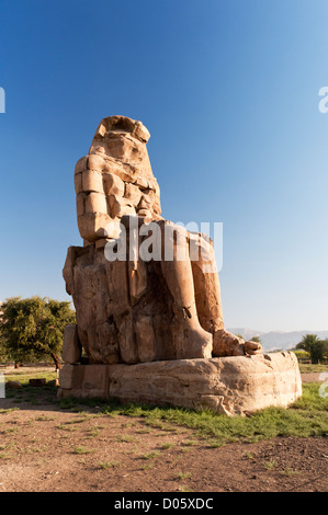 Les colosses de Memnon (appellent les gens comme el-Colossat ou es-Salamat) sont deux énormes statues de pierre du pharaon Aménophis III Banque D'Images