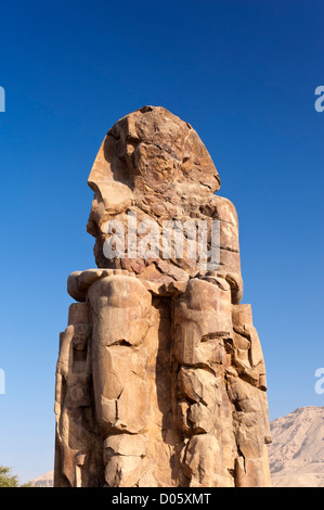 Les colosses de Memnon (appellent les gens comme el-Colossat ou es-Salamat) sont deux énormes statues de pierre du pharaon Aménophis III Banque D'Images