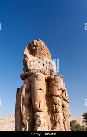 Les colosses de Memnon (appellent les gens comme el-Colossat ou es-Salamat) sont deux énormes statues de pierre du pharaon Aménophis III Banque D'Images