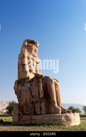 Les colosses de Memnon (appellent les gens comme el-Colossat ou es-Salamat) sont deux énormes statues de pierre du pharaon Aménophis III Banque D'Images