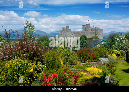 Château de Harlech Gwynedd fleurs en premier plan avec le Nord du Pays de Galles UK Banque D'Images