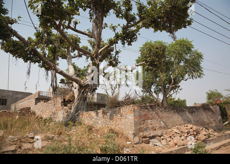 Demeure privée de Achrol - Village du district de Jaipur, Rajasthan, Inde Banque D'Images