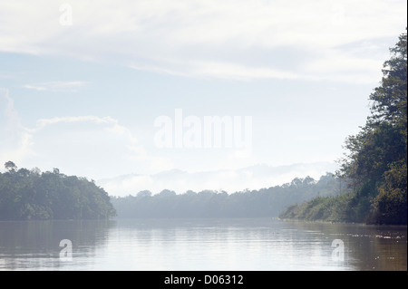 Misty lever de soleil sur la rivière Kinabatangan, Sabah, Bornéo Banque D'Images