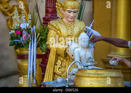 Verser de l'eau plus de statue bouddhiste à la pagode Shwedagon à Yangon Myanmar Banque D'Images