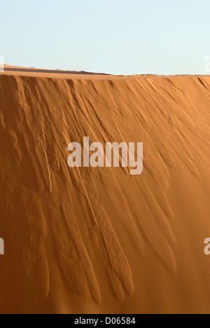 Dune de sable en Utah's Coral Pink Sand Dunes State Park. Banque D'Images