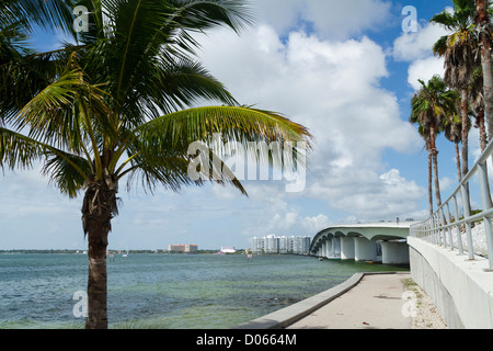 John Ringling Causeway Bridge entre Bird et Sarasota en Floride Banque D'Images