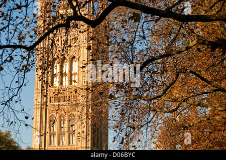 La Tour Victoria avec arbre d'automne, Palais de Westminster, les Maisons du Parlement, Londres, UK Banque D'Images