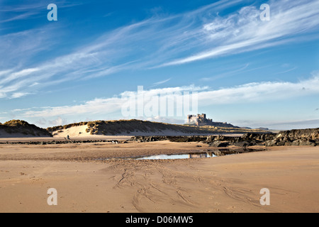 Les gens qui marchent sur la plage chiens sous bamborough castle de Northumberland. Banque D'Images