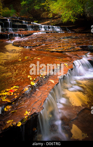 Cascades et feuilles d'automne à North Creek dans la région de métro de Zion National Park, Utah Banque D'Images
