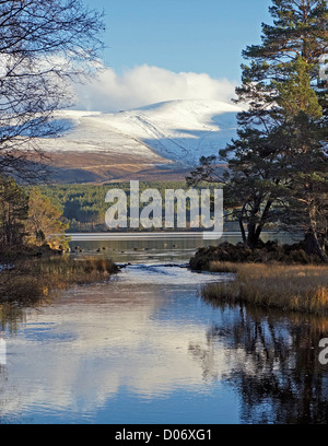 Couvert de neige dans les Cairngorms Cairngorm Mountain vu de l'extrémité ouest du Loch Morlich Glenmore Ecosse sur une journée ensoleillée d'automne Banque D'Images