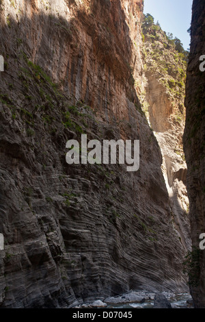 De hautes falaises calcaires dans le Parc National de la Gorge de Samaria, Montagnes Blanches, Crète, Grèce. Banque D'Images