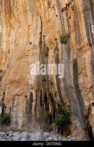 De hautes falaises calcaires dans le Parc National de la Gorge de Samaria, Montagnes Blanches, Crète, Grèce. Banque D'Images