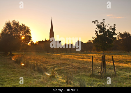 L'ensemble de l'Ouest à l'eau 68 London meadows vers la cathédrale de Salisbury dans le Wiltshire. Banque D'Images