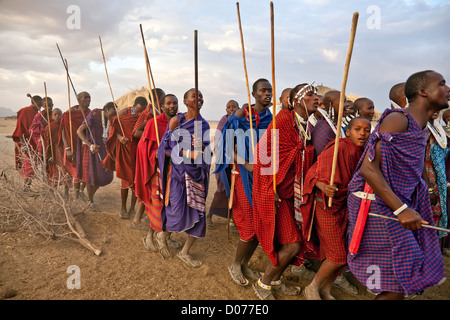 Un groupe d'hommes et femmes maasai effectuant une danse à la Tanzanie;l'Afrique de l'Afrique;;Village culturel authentique ; Olpopongi;Maasai Banque D'Images