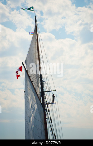 Un membre d'équipage à bord du grand voilier du Pacifique 'Grace' rides dans le gréement au cours d'une goélette voilier course à Port Townsend, Washington. Banque D'Images