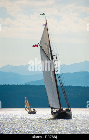 Voiliers en compétition dans le Festival des bateaux en bois de Port Townsend en course goélette Puget Sound dans l'État de Washington. Banque D'Images