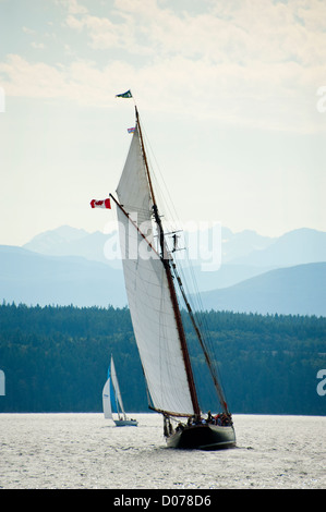 Voiliers en compétition dans le Festival des bateaux en bois de Port Townsend en course goélette Puget Sound dans l'État de Washington. Banque D'Images