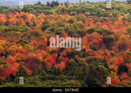 Vue depuis la montagne, Bradbury Bradbury Mountain State Park, Freeport, Maine Banque D'Images