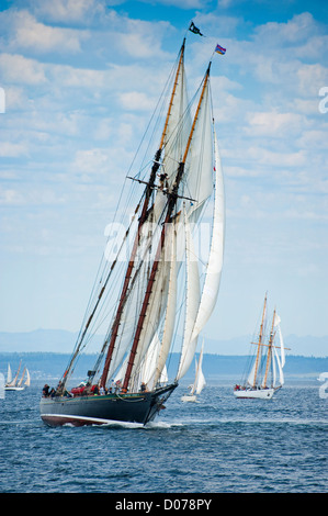 Voiliers en compétition dans le Festival des bateaux en bois de Port Townsend en course goélette Puget Sound dans l'État de Washington. Banque D'Images
