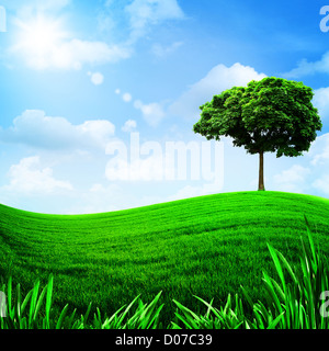 Green Hills sous le ciel bleu, les milieux naturels pour votre conception Banque D'Images