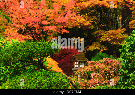 Jardin japonais de Portland en automne, Portland, Oregon, USA Banque D'Images