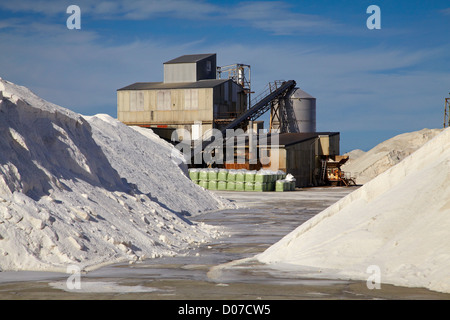Les stocks de sel, lac Grassmere salines, Marlborough, île du Sud, Nouvelle-Zélande Banque D'Images