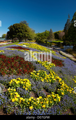 Fleurs de Printemps, Pollard Park, Blenheim, Marlborough, île du Sud, Nouvelle-Zélande Banque D'Images