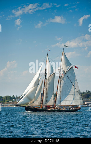 Voiliers en compétition dans le Festival des bateaux en bois de Port Townsend en course goélette Puget Sound dans l'État de Washington. Banque D'Images