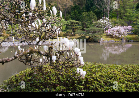 USA, Seattle, WA. Les Jardins Japonais part de Washington Park Arboretum. 3. 5 hectares conçu par Juki en 1960 de l'IIDA Banque D'Images