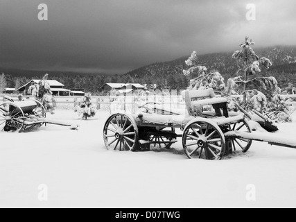 Un vieux buckboard wagon est recouverte de neige juste après une tempête de neige à Flagstaff, Arizona, USA. Banque D'Images