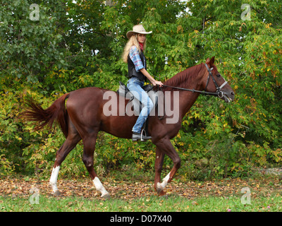 Happy Cow sur cheval brun Banque D'Images