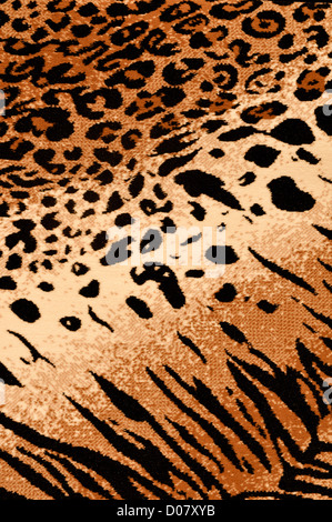 Guepard fond tapis tigre Banque D'Images