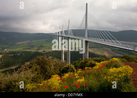 Viaduc de Millau ou le viaduc de Millau, de coquelicots et autres fleurs, sur l'A75 l'autoroute E11, gorges du tarn. Cévennes, France. Banque D'Images