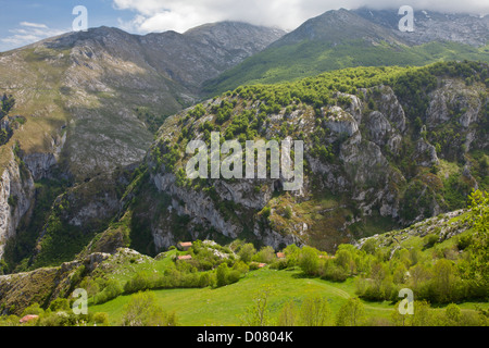 Hauts pâturages et des granges (invernales) près de Tresviso dans les Picos de Europa, l'Espagne. Banque D'Images