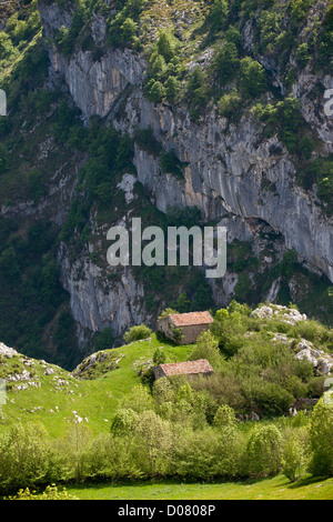 Hauts pâturages et des granges (invernales) près de Tresviso dans les Picos de Europa, l'Espagne. Banque D'Images