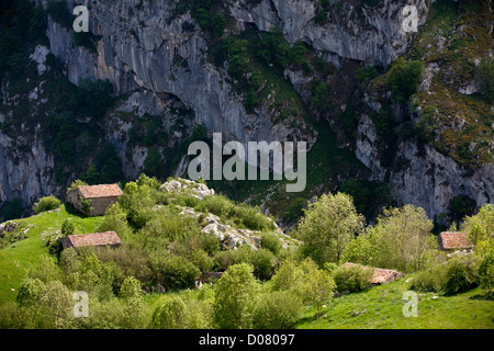 Hauts pâturages et des granges (invernales) près de Tresviso dans les Picos de Europa, l'Espagne. Banque D'Images