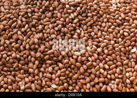 Close-up d'arachides décortiquées at a market stall, Delhi, Inde Banque D'Images