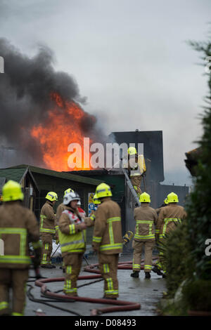 Peu Warley, Essex, Royaume-Uni. Environ 5 heures ce matin, un incendie a débuté dans une usine de recyclage de l'huile de cuisson usagée. De grands dommages ont été causés, mais pas de blessures déclarées. À la hauteur de l'incendie, d'incendie et de secours d'Essex a eu 12 pompes en présence. C'était très un malpropre et dangereuse pour le service d'incendie. Les attaques d'un pompier le feu d'en haut d'une échelle comme le toit des brûlures. Banque D'Images