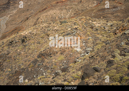 Une section de la falaise massive (plus de 1 km de haut) de la baie d'El Golfo, Las Puntas, El Hierro, Îles Canaries, Espagne Banque D'Images