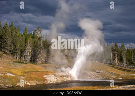 Riverside Geyser, Upper Geyser Basin, Parc National de Yellowstone, Wyoming, USA Banque D'Images