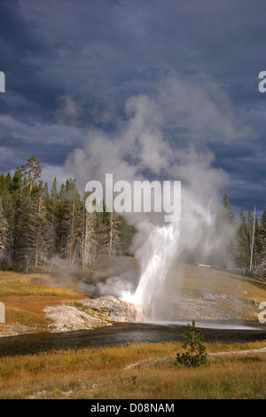 Riverside Geyser, Upper Geyser Basin, Parc National de Yellowstone, Wyoming, USA Banque D'Images