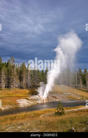 Riverside Geyser, Upper Geyser Basin, Parc National de Yellowstone, Wyoming, USA Banque D'Images