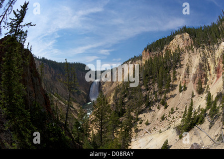 Vue sur Lower Falls de Red Rock Point, Grand Canyon de la Yellowstone River, le Parc National de Yellowstone, Wyoming, USA Banque D'Images