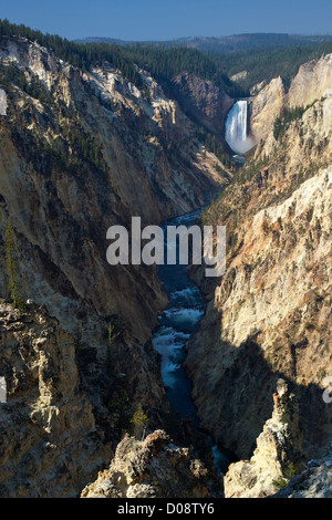 Lower Falls d'artistes Point, Grand Canyon de la Yellowstone River, le Parc National de Yellowstone, Wyoming, USA Banque D'Images